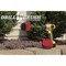 Drill Brush Power Scrubber By Useful Products 5 in W 5 in L Brush, Red R-S-4M-5X-QC-DB - alternate 7